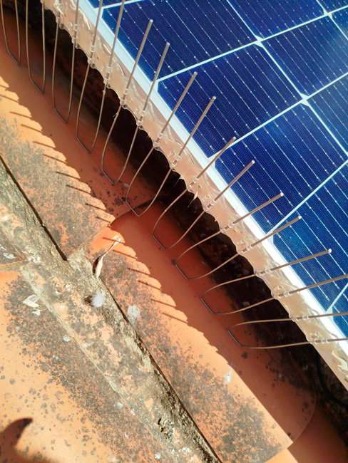 sistema anti palomas fachadas Malaga