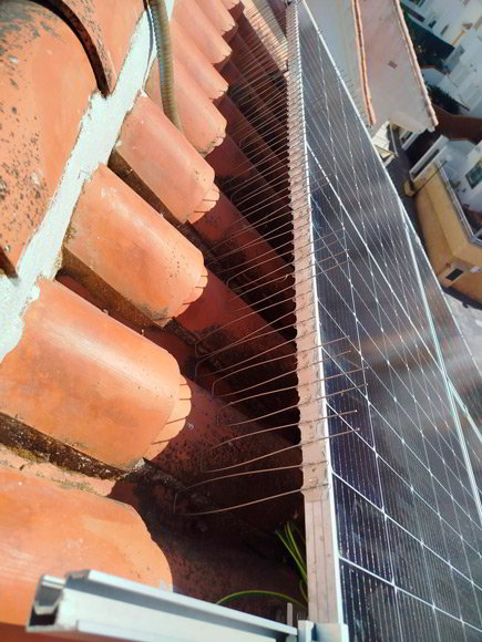 Sistemas anti-aves fachadas en Málaga