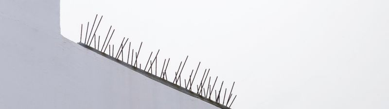 ventajas de los sistemas anti-aves portada